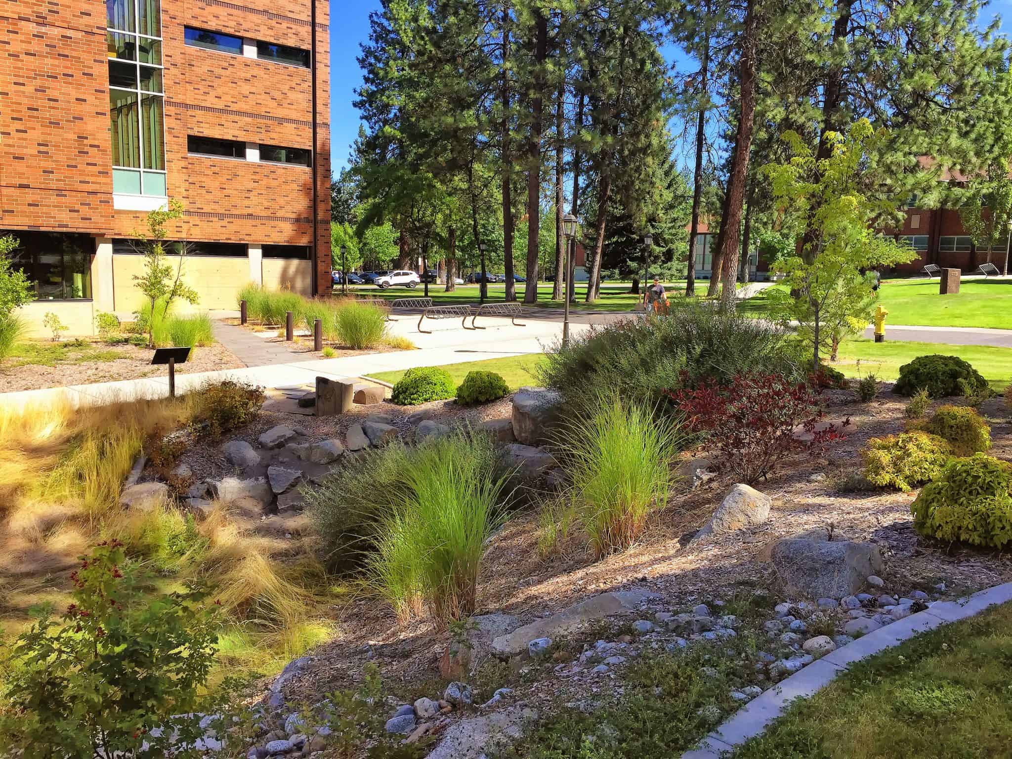 WHITWORTH UNIVERSITY BIOLOGY AND CHEMISTRY BUILDING > SPVV Landscape